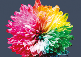 MindOut logo, large rainbow flower, and the words Annual Report 2019-2020