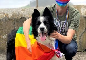 Colin, a MindOut volunteer, wearing a rainbow mask and next to a dog wearing a rainbow flag